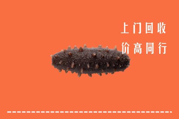高价求购：北京海淀区回收海参
